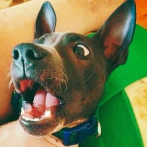 Meet your Posher, Marina